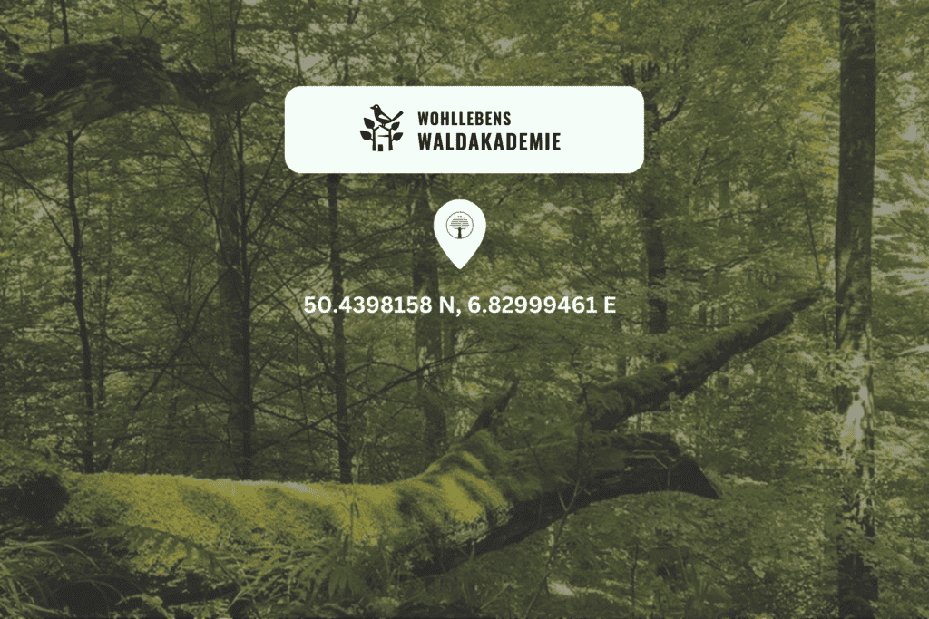 Wald im Hintergrund und das Logo von Wohllebens Waldakademie