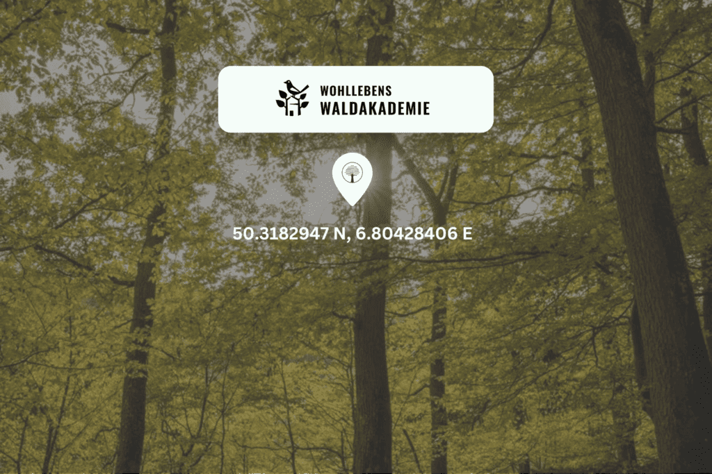 Wald im Hintergrund und das Logo von Wohllebens Waldakademie