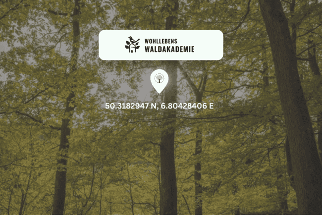 Waldschutzprojekt Junge Wilde Nohn
